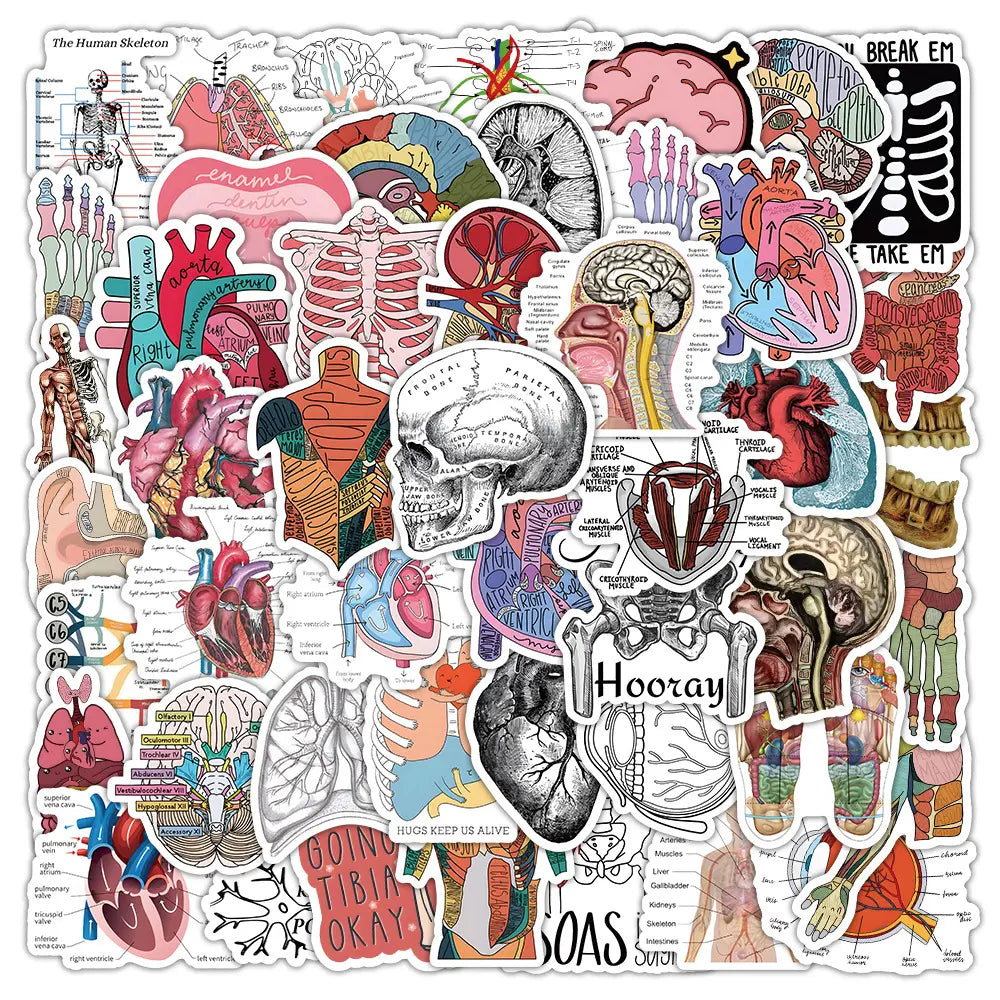 MedTech- 50 Pcs Cartoon Anatomy Stickers- -