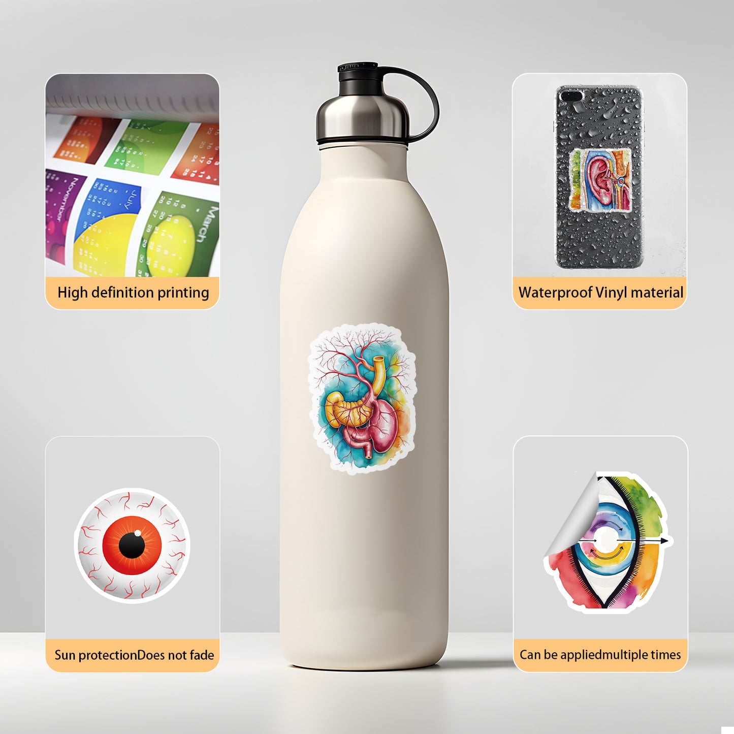 MedTech- 50 Organ Stickers- -