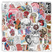 MedTech anatomy stickers