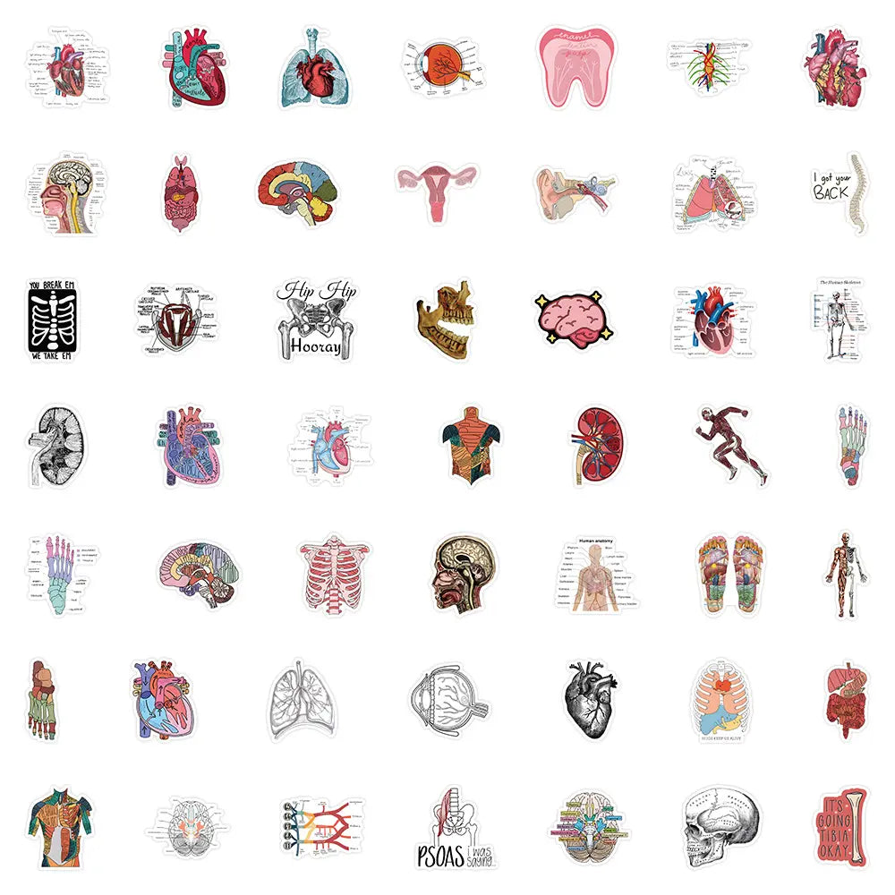 Sheet of individual cartoon anatomy stickers laid flat
