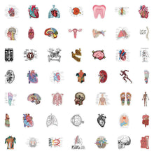 Sheet of individual cartoon anatomy stickers laid flat