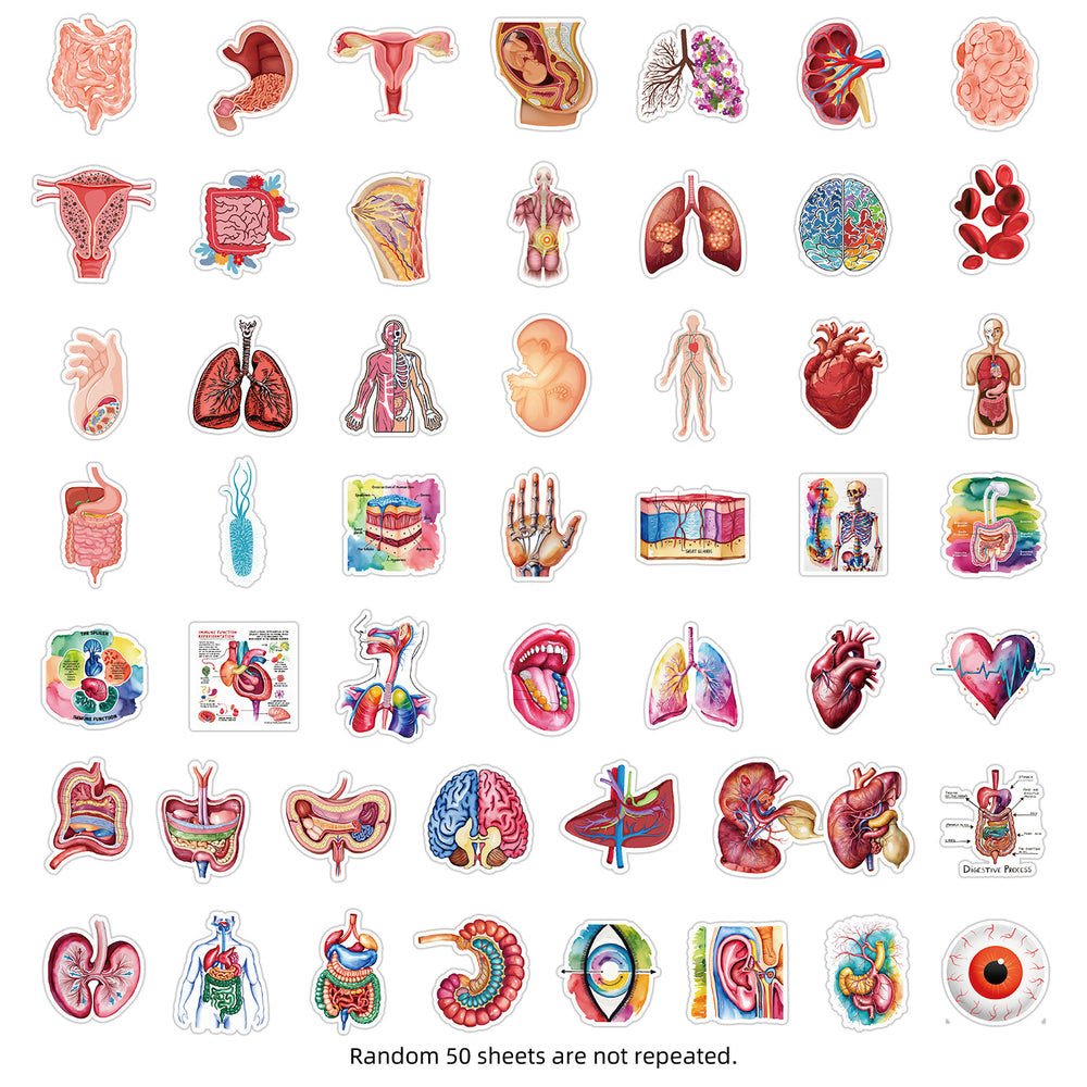 50 Cartoon Human Organ Stickers