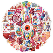 Organ Stickers