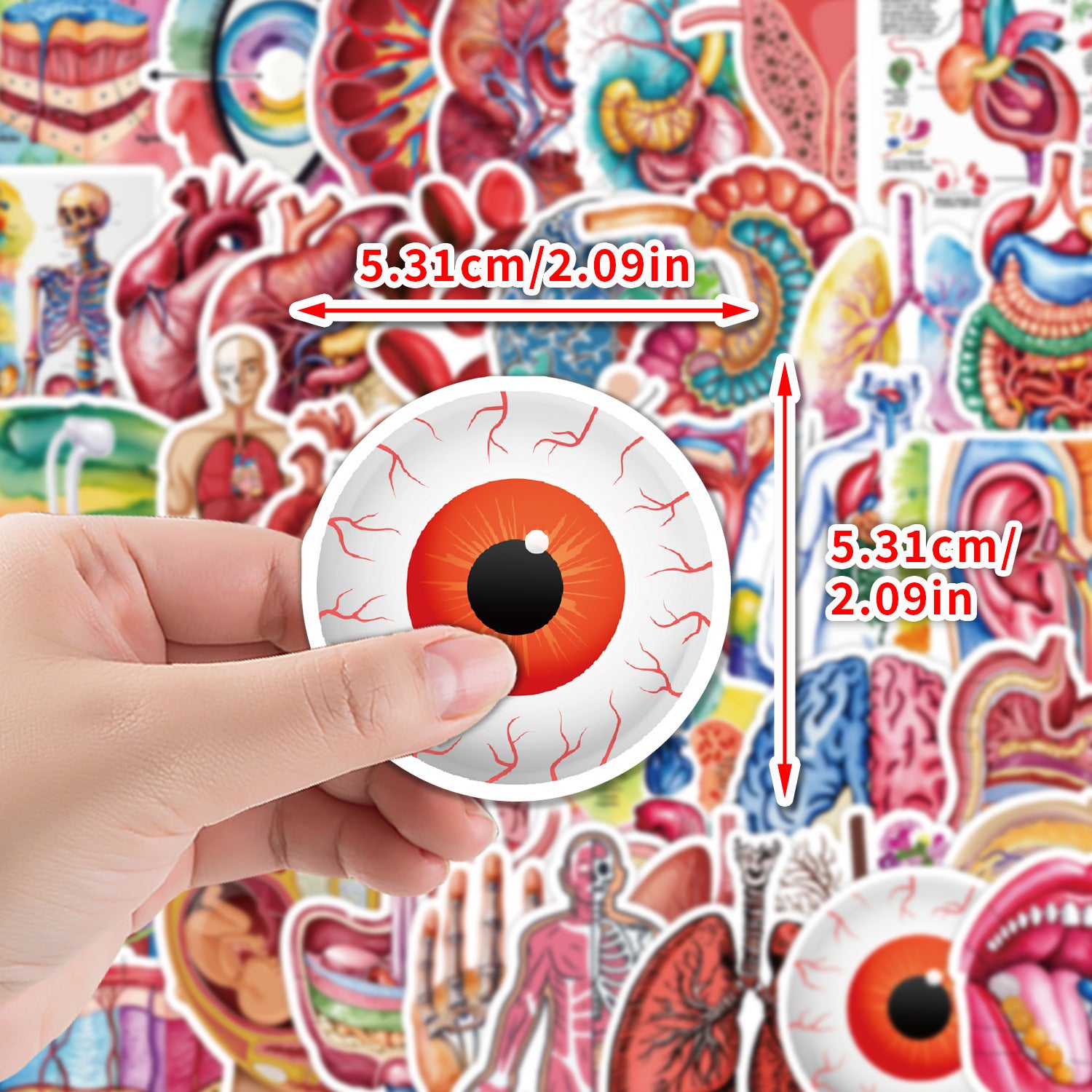 MedTech- 50 Organ Stickers- - 