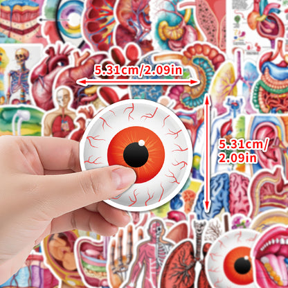 MedTech- 50 Organ Stickers- - 