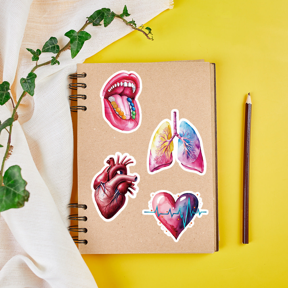 MedTech- 50 Organ Stickers- - 