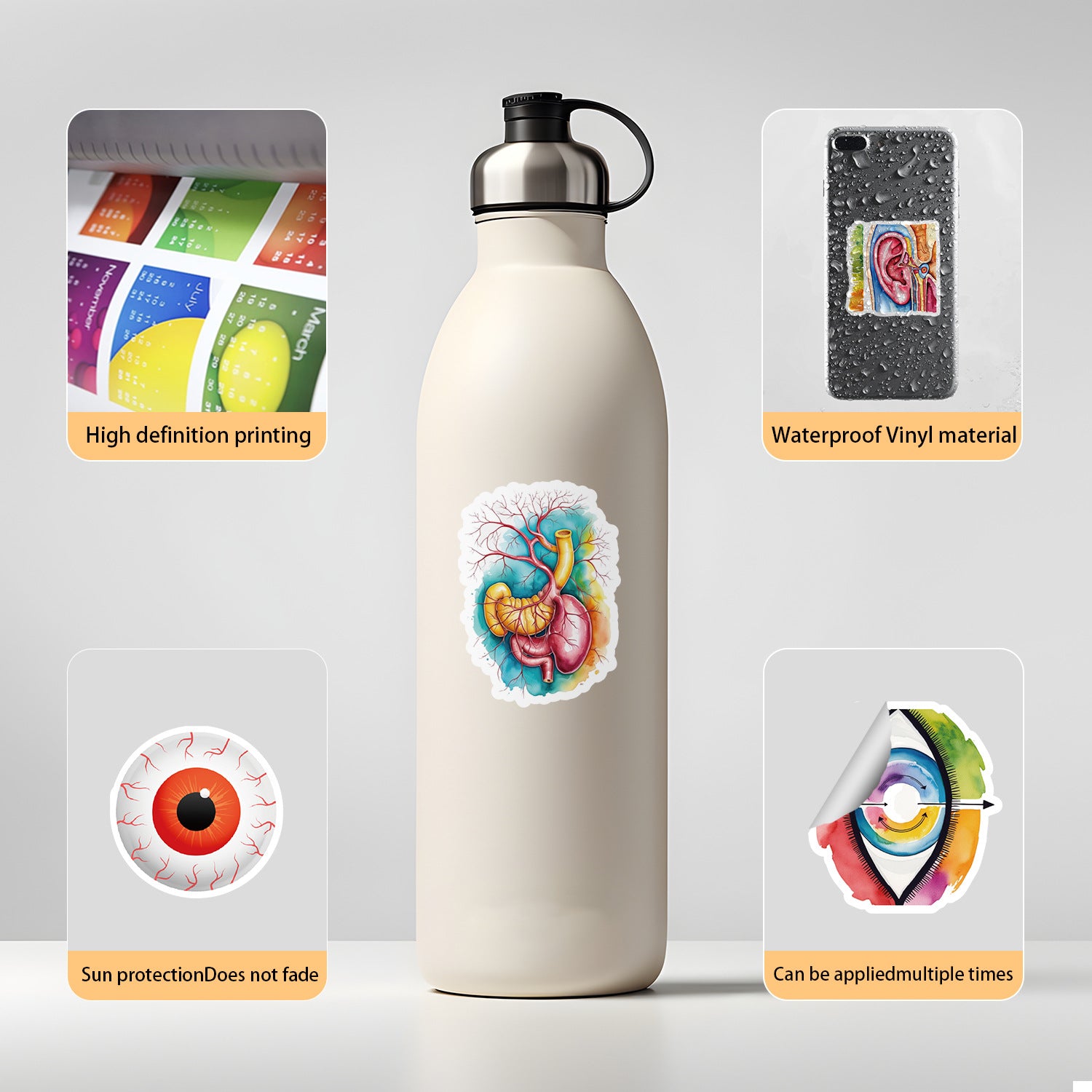 MedTech- 50 Organ Stickers- - 