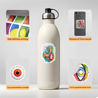 MedTech- 50 Organ Stickers- - 