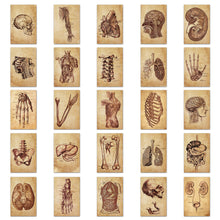 Medical Anatomy Stickers