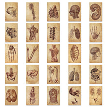 Medtechkits- 50 Pcs Vintage Medical Anatomy Stickers- - 