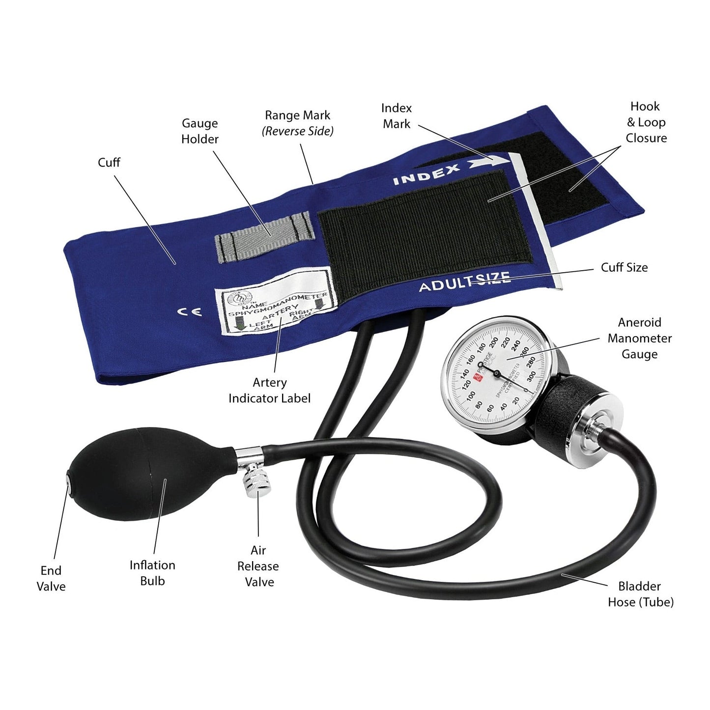Labeled aneroid sphygmomanometer showing gauge, cuff, bulb and valve parts