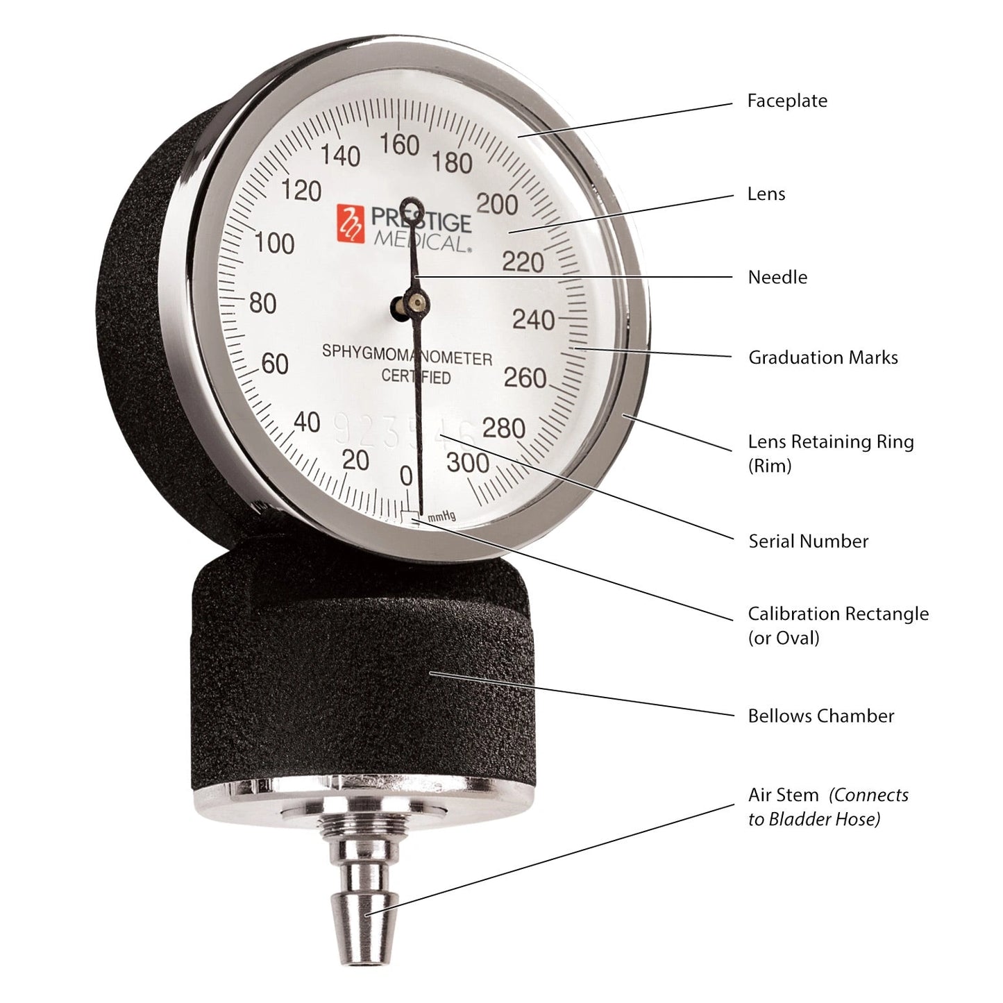 Calibrated manometer dial of an adult aneroid blood pressure monitor
